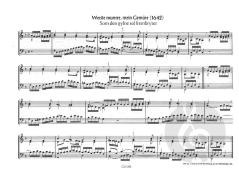 Choralvorspiele für Dorforganisten von Max Drischner 