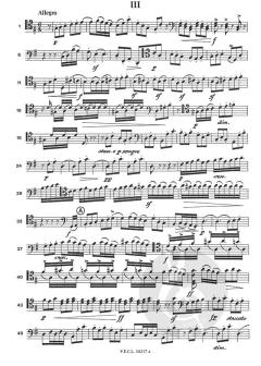 Duo (Serenata) von Ermanno Wolf-Ferrari 