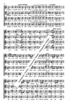 Vier Lieder (Antonín Dvorák) 