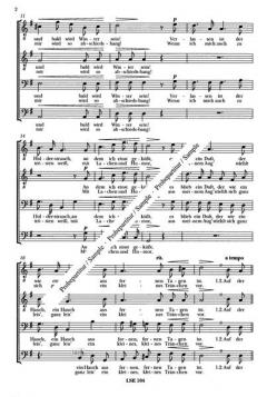 Auf der Heide blühn die letzten Rosen (Robert Stolz) 