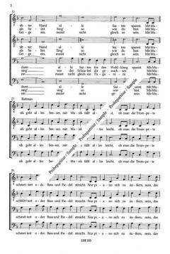 Mit Musik geht alles besser (Werner Bochmann) 