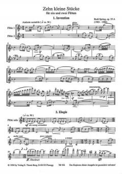 Flötenalbum von Rudi Spring im Alle Noten Shop kaufen