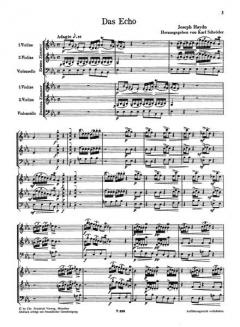 Das Echo von Joseph Haydn 