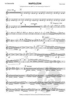 Napoleon von Mario Bürki 