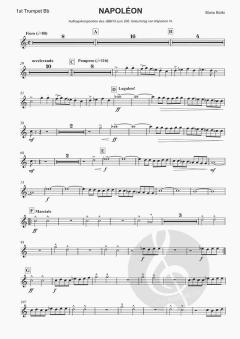 Napoleon von Mario Bürki 