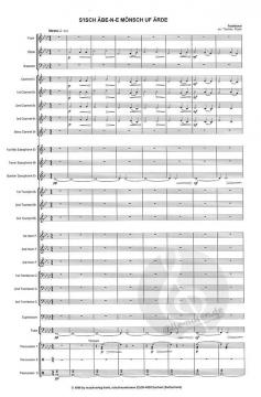 S'Isch Äbe-Ne-Mönsch Uf Ärde (The Lonely Maid) 