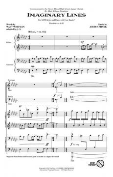 Imaginary Lines (Joshua Shank) 