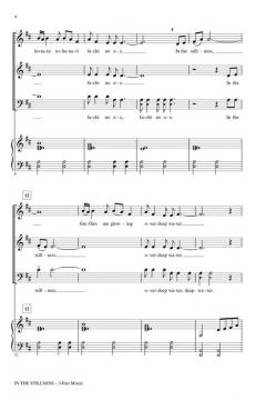 In The Stillness (Audrey Snyder) 