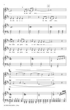 In The Stillness (Audrey Snyder) 