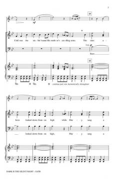 Dark Is The Silent Night (Audrey Snyder) 