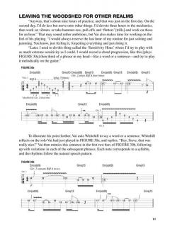 Steve Vai's Guitar Workout von Steve Vai 