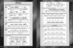 Lessons With The Hudson Greats Vol. 1 (David Garibaldi) 