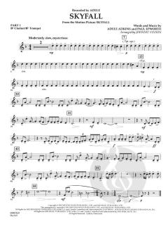 Skyfall von Adele Adkins 