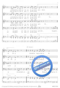 Nette Begegnung (Oliver Gies) 