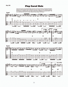 Old Time Stringband Workshop For Guitar von Dick Weissman 