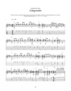 New Wave Latin Guitar Book von John Zaradin 