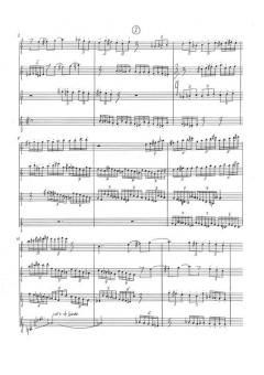 Sunshine and Shadows von Sunleif Rasmussen 