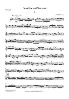 Sunshine and Shadows von Sunleif Rasmussen 