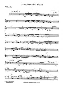 Sunshine and Shadows von Sunleif Rasmussen 