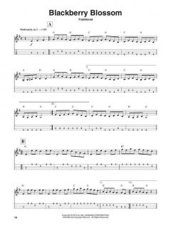 Mandolin Play-Along Vol. 1: Bluegrass im Alle Noten Shop kaufen
