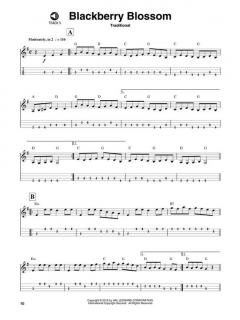 Mandolin Play-Along Vol. 1: Bluegrass im Alle Noten Shop kaufen