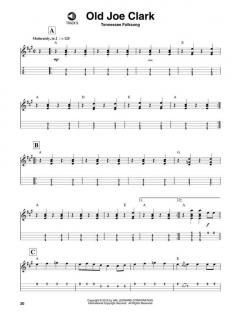 Mandolin Play-Along Vol. 1: Bluegrass im Alle Noten Shop kaufen