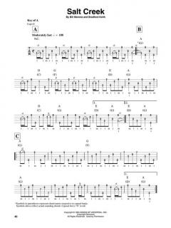 Banjo Play-Along Vol. 1: Bluegrass im Alle Noten Shop kaufen