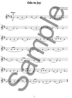 Wedding Music For Solo Violin im Alle Noten Shop kaufen