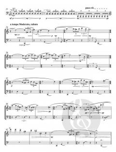 Mendelssohns Möwen (2012) von Manfred Trojahn (Download) 