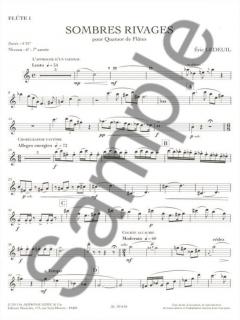 Sombres Rivages (6-7e année) von Eric Ledeuil 