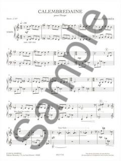 Calembredaine von Bernard Andres 