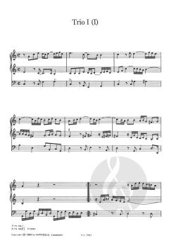 Incognita Organo 08 von Georg Andreas Sorge 