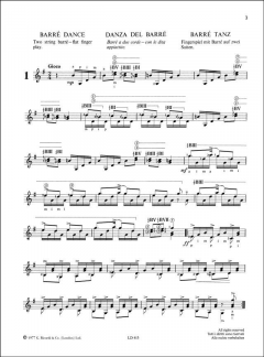 Essential Guitar Skill: Das Barré von Bryan Lester 