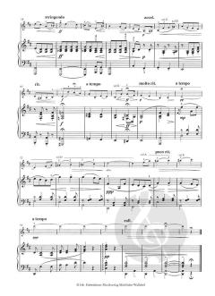 Bekannte und beliebte Violinsolos Band 1 im Alle Noten Shop kaufen