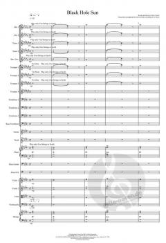 Black Hole Sun 