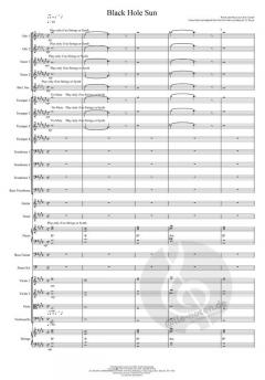 Black Hole Sun 