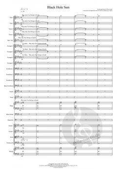 Black Hole Sun 