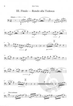 Concerto For Bass Tuba And Orchestra von Ralph Vaughan Williams im Alle Noten Shop kaufen