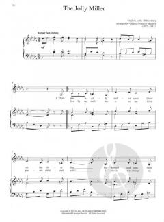 The Boy's Changing Voice von Richard Walters 