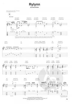 Art Of Motion von Andy McKee 