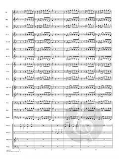 One Direction In Concert (One Direction) 