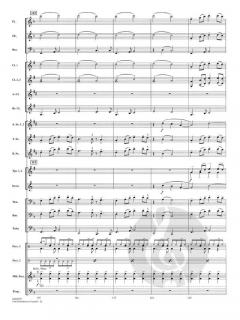 One Direction In Concert (One Direction) 