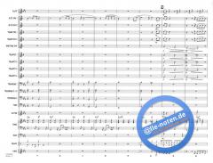 Skyfall von Adele Adkins 