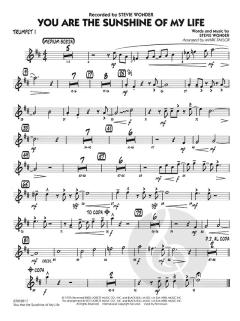 You Are The Sunshine Of My Life von Stevie Wonder (Download) 