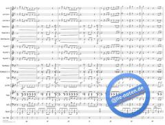 The Funky Monkey von Rick Stitzel 