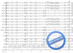 The Funky Monkey von Rick Stitzel 