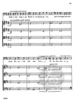 Christmas Star (John Williams) 