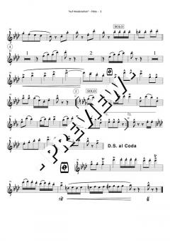 Play Along mit Blasmusik Vol. 1 Set 1 von Original Hofbräuhaus-Festkapelle 