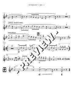 Play Along mit Blasmusik Vol. 1 Set 3 von Original Hofbräuhaus-Festkapelle 