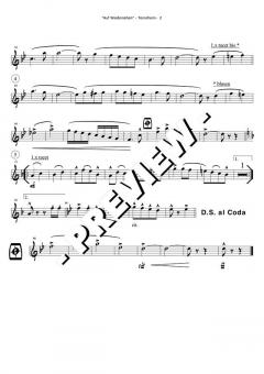 Play Along mit Blasmusik Vol. 1 Set 7 (Original Hofbräuhaus-Festkapelle) 